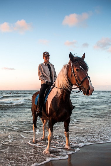 A person riding a horse on a beach with the ocean in the background. 1