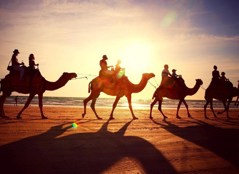 A group of people riding camels on a beach at sunset. 5
