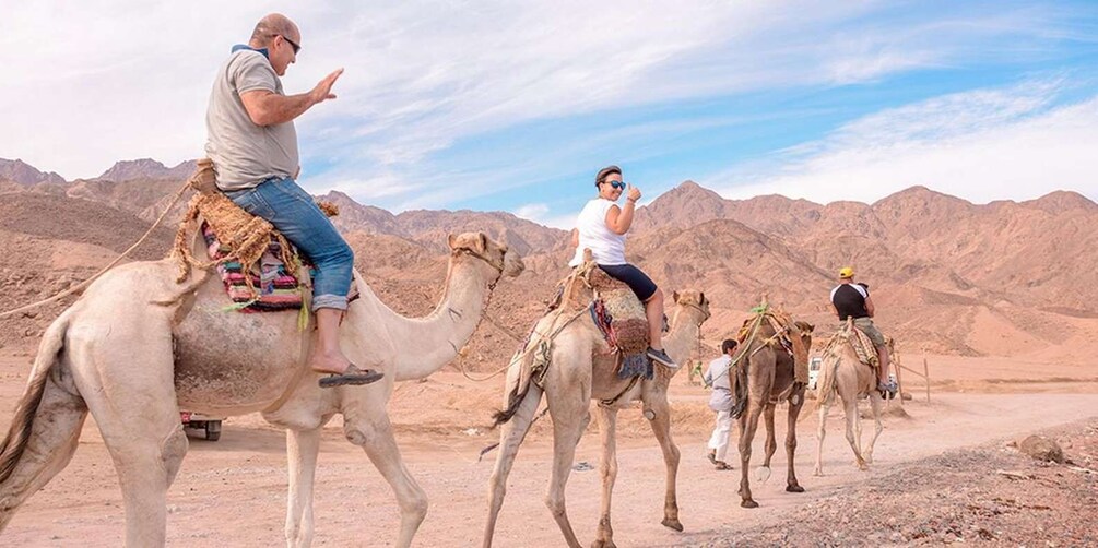 A desert landscape with camels and riders. 5