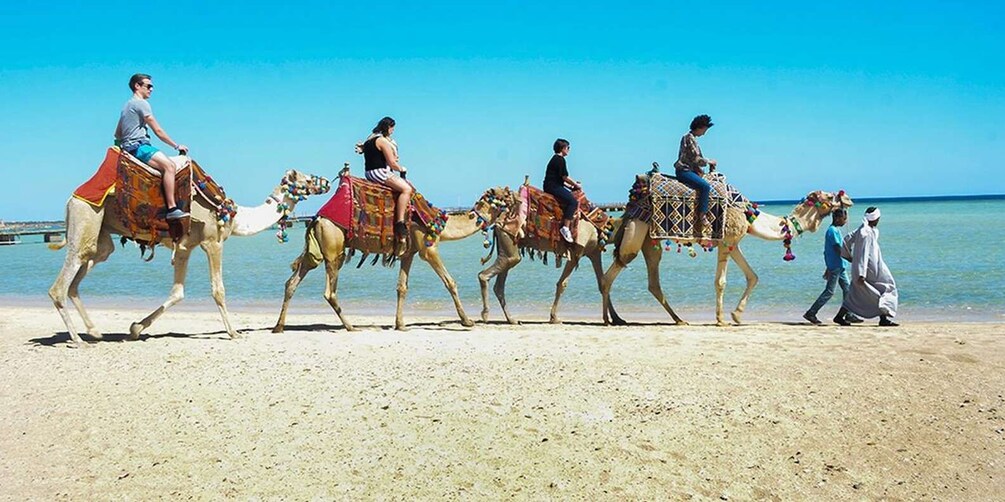A group of camels with riders on a beach. 3
