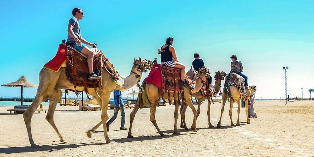 A group of people riding camels on a beach. 5
