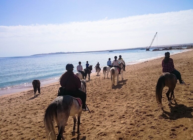 A beach with people riding horses along the shoreline. 5