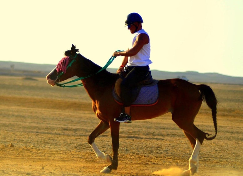A person riding a horse in a barren landscape. 2