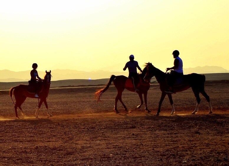 Three people riding horses in a barren landscape during sunset. 4