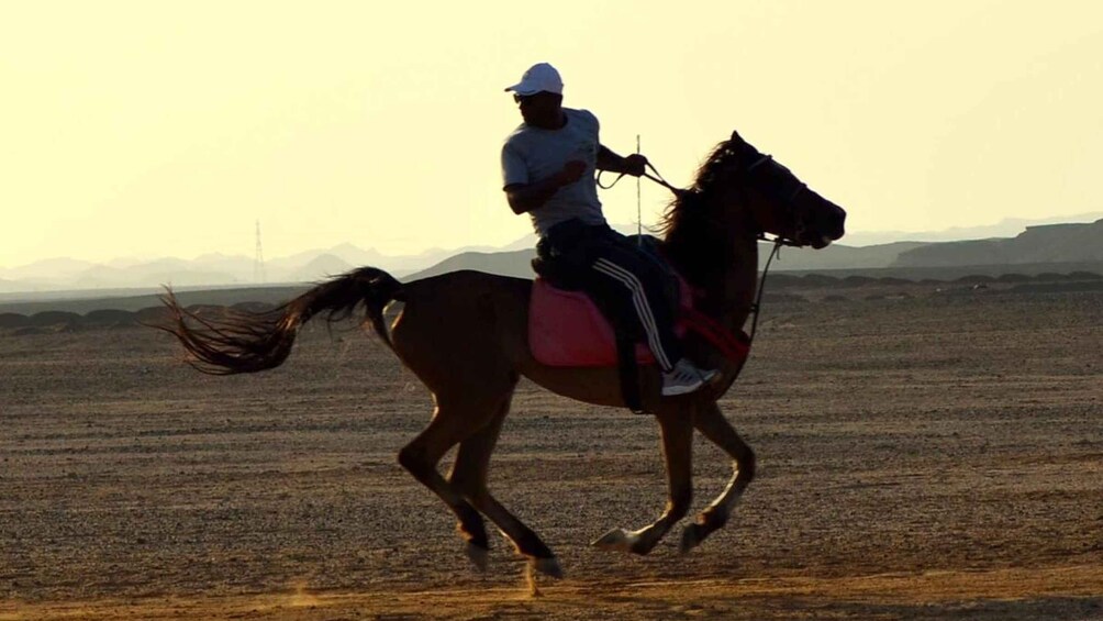 A person riding a horse in a barren landscape with mountains in the background. 5