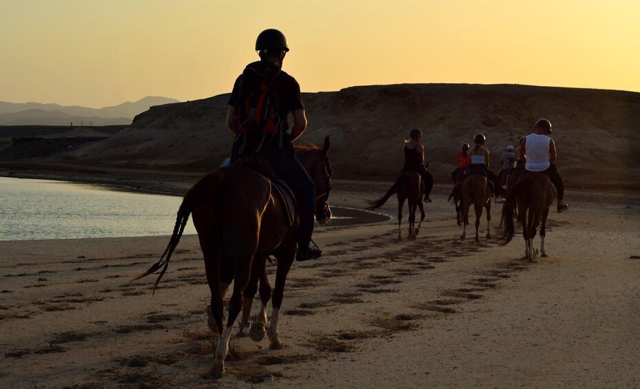 A group of people horseback riding along a beach at sunset. 2