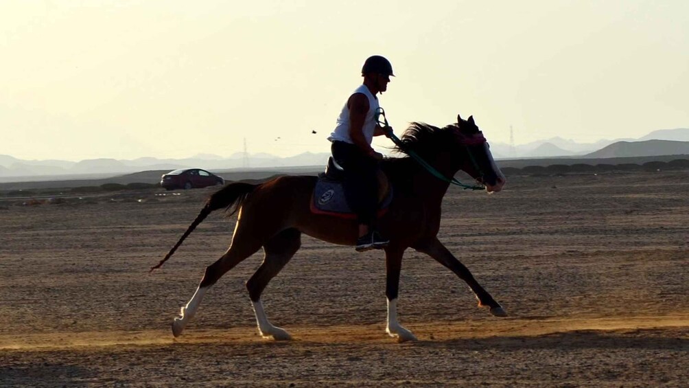 A person riding a horse in a barren landscape with mountains in the background. 3