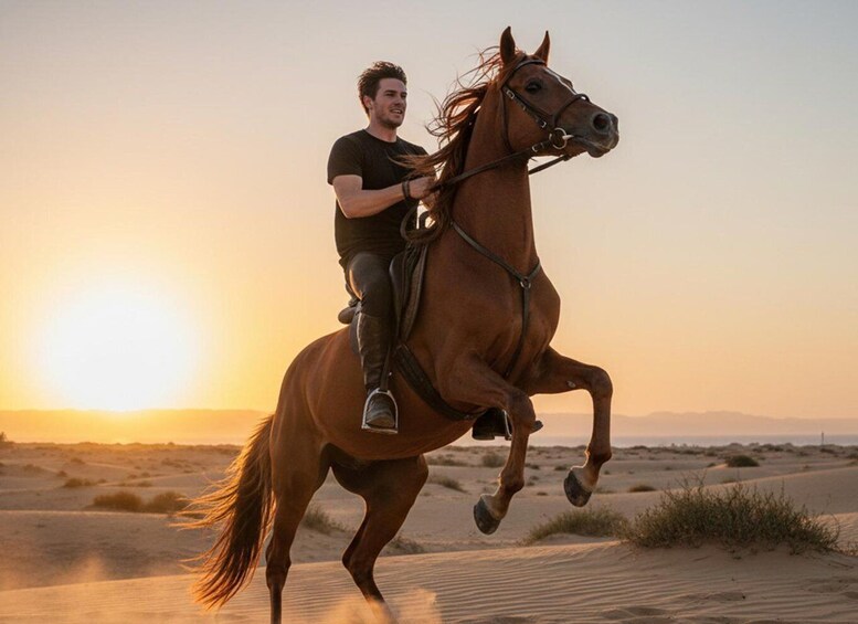 Eine Person reitet auf einem Pferd durch eine Wüstenlandschaft mit Sanddünen und einem Sonnenuntergang im Hintergrund. 1
