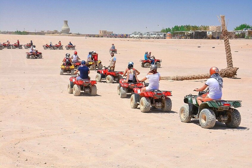 People riding ATVs on a sandy terrain with a large tree and a building in the background. 5
