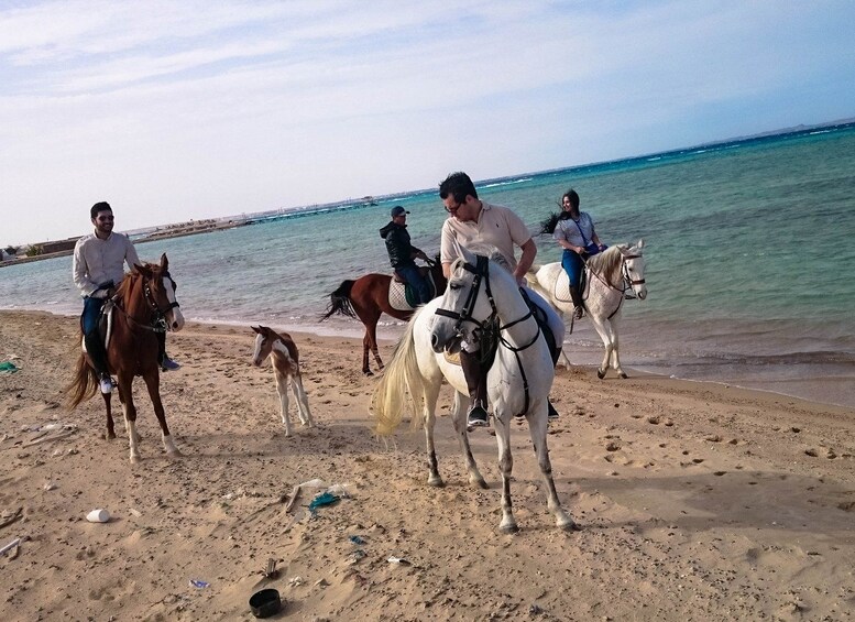 People riding horses on a sandy beach with the ocean in the background. 2