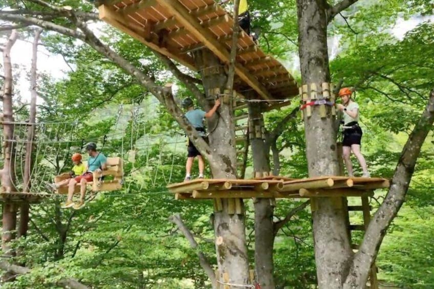 People on a wooden tree platform in a forest. 4