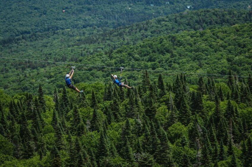 Two people bungee jumping over a forested area. 3