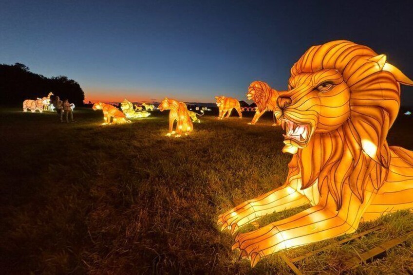 Illuminated lion sculptures in a field at dusk. 1