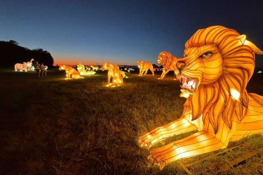 Illuminated lion sculptures in a field at dusk. 1