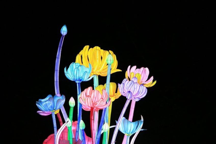 A collection of colorful, stylized flowers against a black background. 4