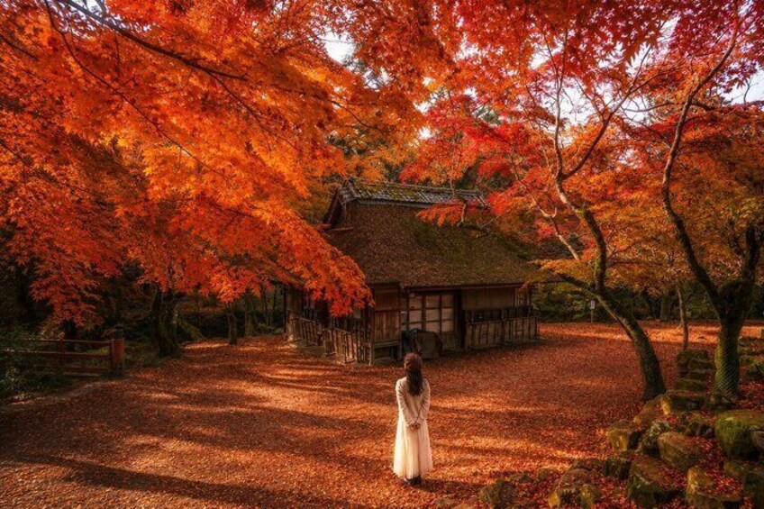 A traditional Japanese building surrounded by vibrant autumn foliage. 1