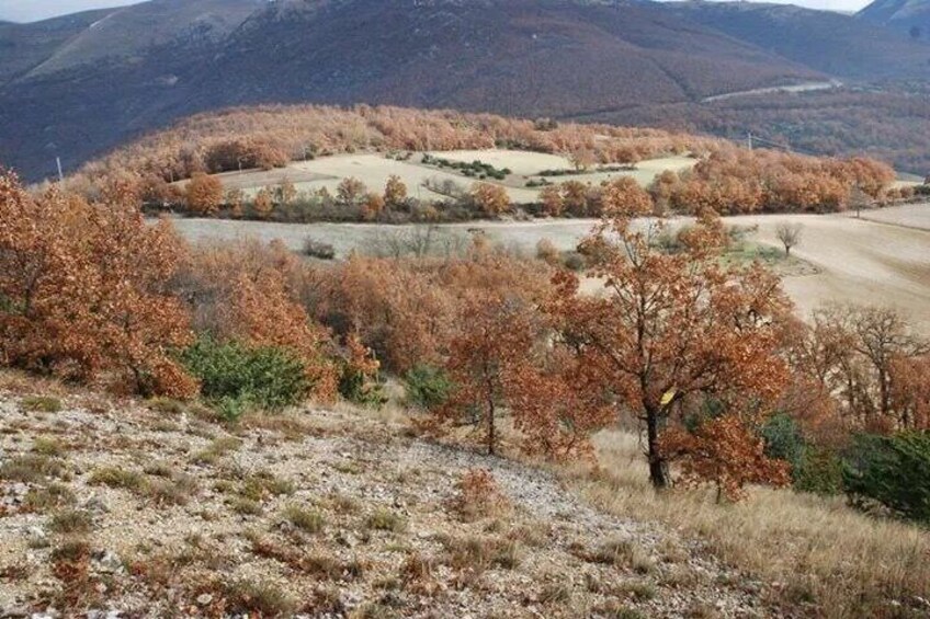 A hilly landscape with autumn-colored trees and a dirt road. 1