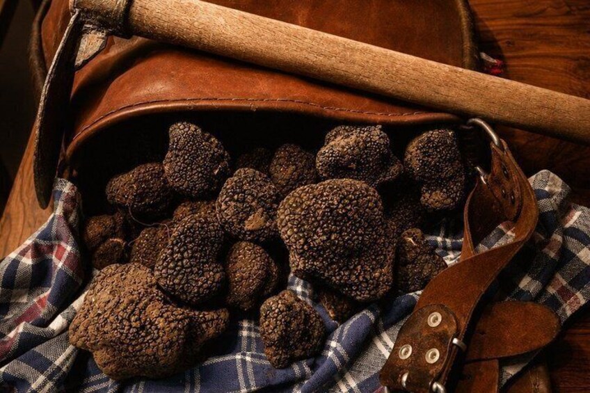 A leather bag filled with truffles, a wooden rolling pin, and a checkered cloth. 3