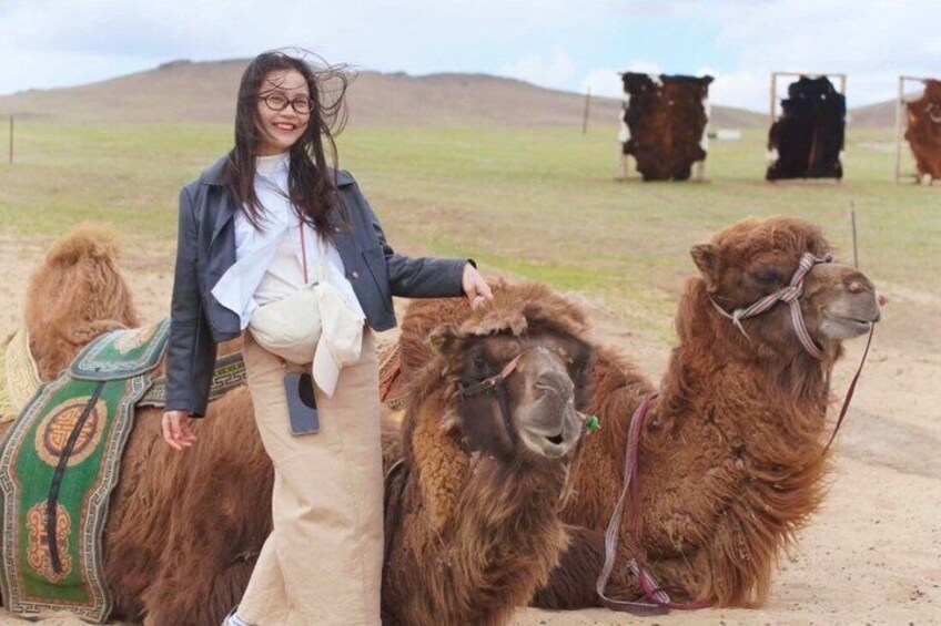 A person riding a camel in a grassy field with other camels in the background. 1