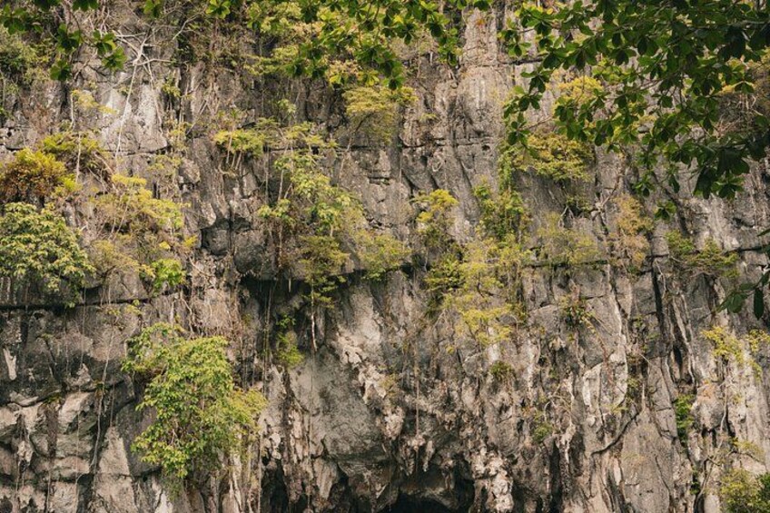 A rocky cliff with sparse vegetation. 4