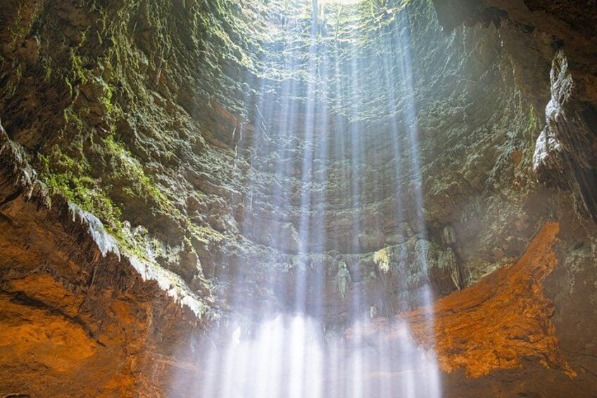 A cave with sunlight streaming through the top, illuminating the interior. 1