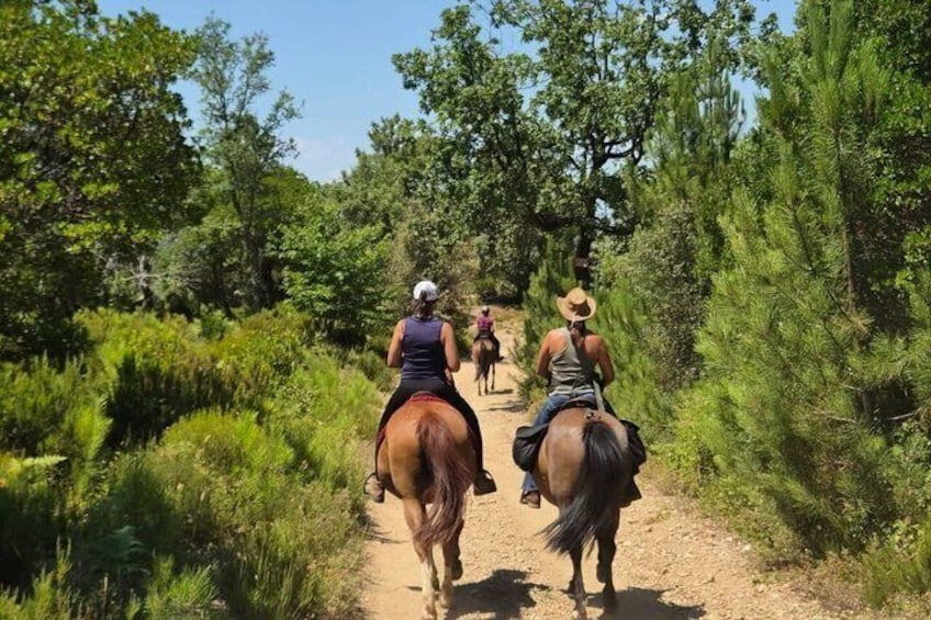 A dirt trail with horseback riders. 3