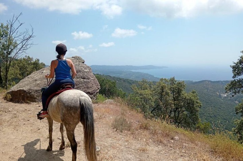 A person riding a horse on a dirt path with a view of a mountainous landscape. 2