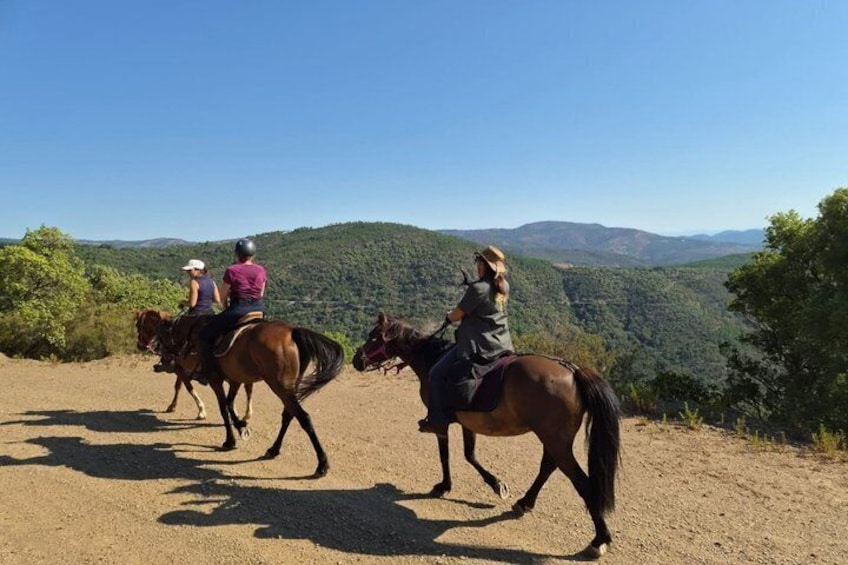 Three people riding horses on a dirt path with a mountainous landscape in the background. 5