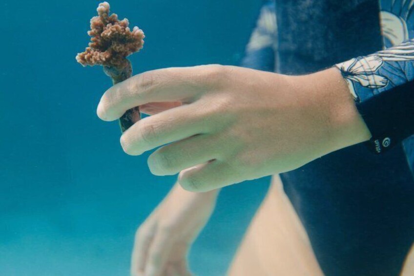 A hand holding a small object with a textured surface. 3