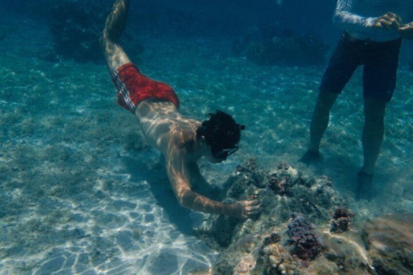 A person swimming underwater near a coral reef. 2