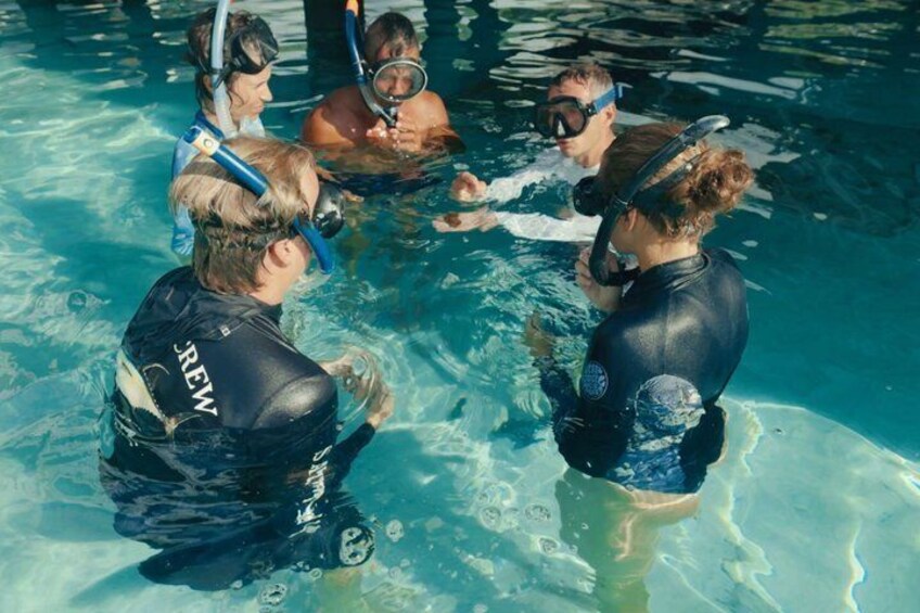 People in a pool wearing wetsuits and snorkels. 1
