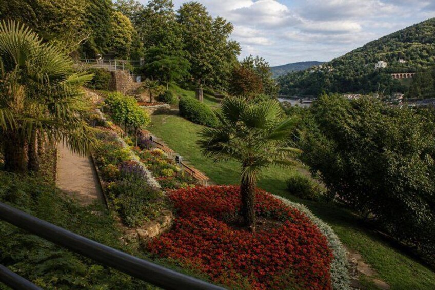 A landscaped garden with a palm tree, red flowers, and a pathway. 4