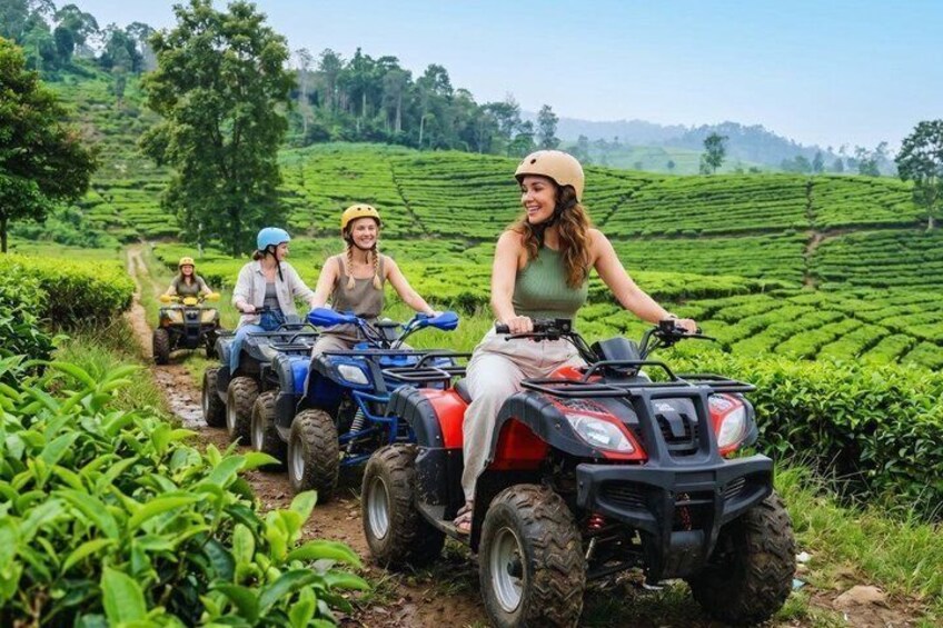 Four people on ATVs in a lush green tea plantation. 1