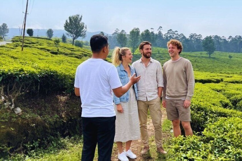 A group of people standing on a lush green hillside with tea plantations in the background. 5