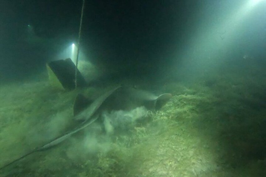 An underwater scene with a diver, a rope, and a light source. 2