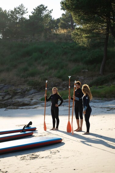 Three people in wetsuits on a sandy beach with paddleboards and paddles. 5
