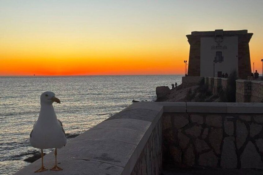 A seagull on a concrete ledge by the sea at sunset, with a stone building in the background. 3