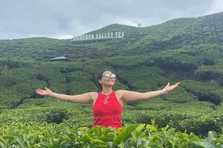 A person in a red tank top standing with arms outstretched in a lush green tea plantation with a sign reading 'Cameroon Valley Tea' in the background. 1