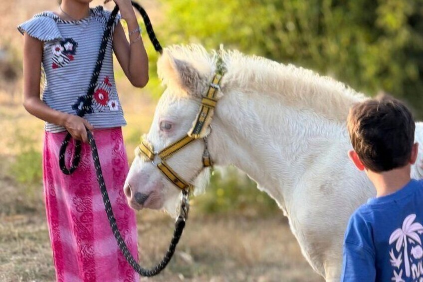 A person leading a white horse with a halter, another person observing, and a child in the background. 4