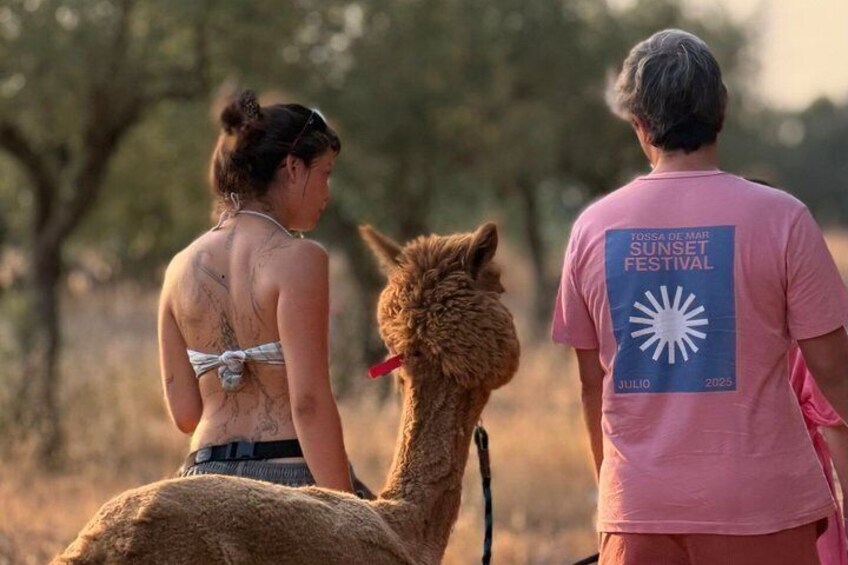 A person with a llama, wearing a pink shirt with 'Tossa de Mar Sunset Festival' text, in a natural outdoor setting. 3