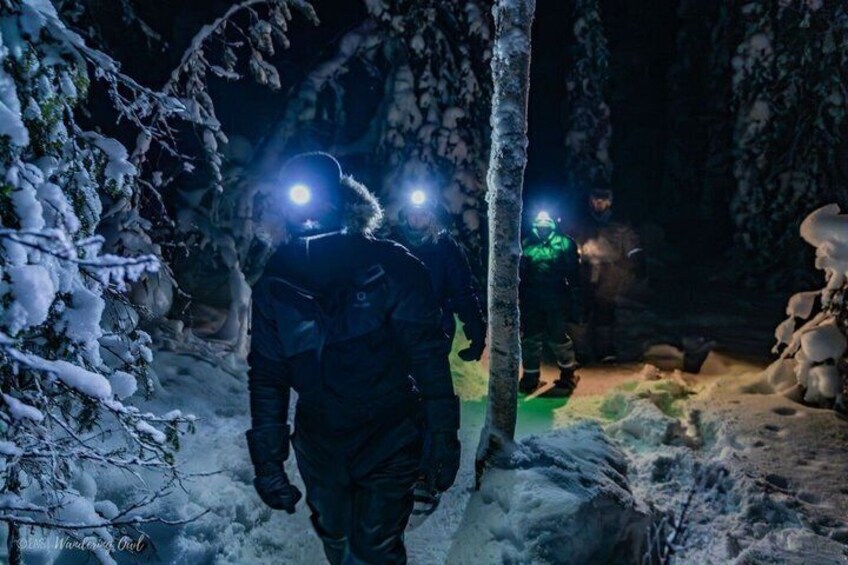 A snowy forest path with people walking, illuminated by headlamps. 5