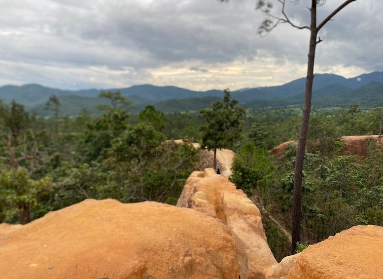 A mountainous landscape with a dirt path leading through dense vegetation and large boulders. 5