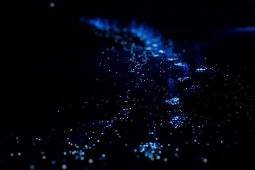 A dark scene with scattered blue lights. 5