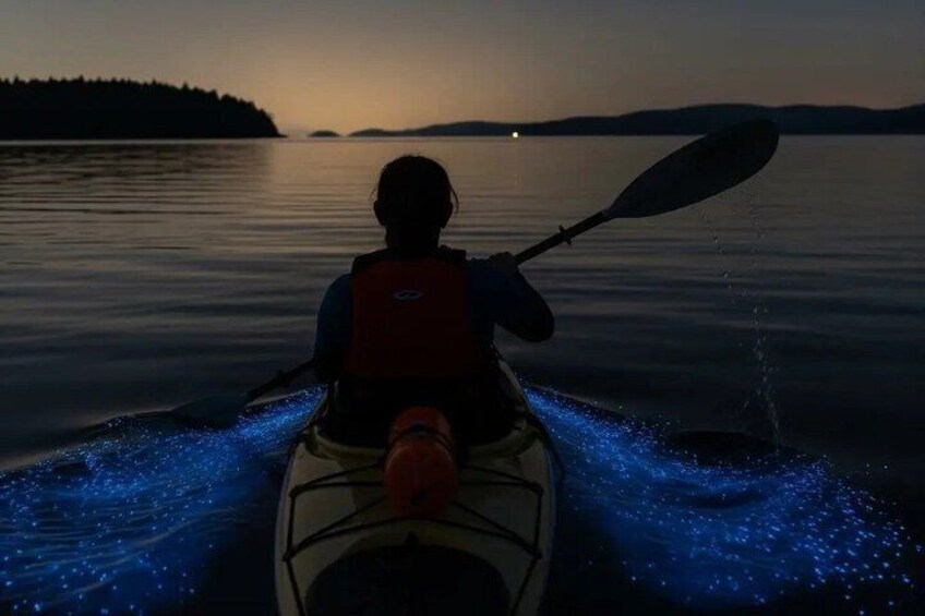 A person kayaking on a calm body of water during twilight. 4