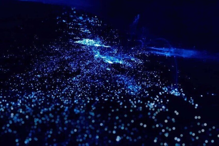 A dark scene with scattered blue lights. 1
