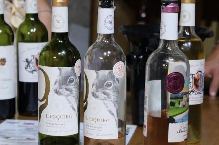 Bottles of wine with labels featuring a rabbit and the text 'L'ESQUIRO.' 4