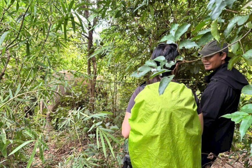 Two individuals in a forested area, one wearing a bright green vest. 4