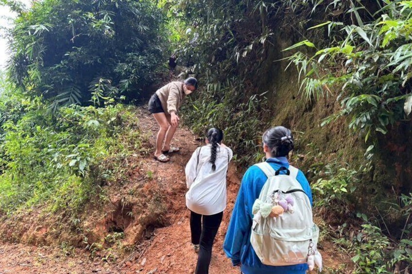 Three people hiking on a dirt trail surrounded by dense vegetation. 2