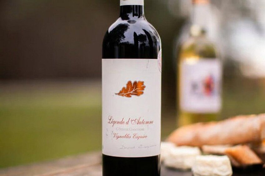 A bottle of wine with a label featuring a leaf and text, placed on a table with bread and cheese. 2