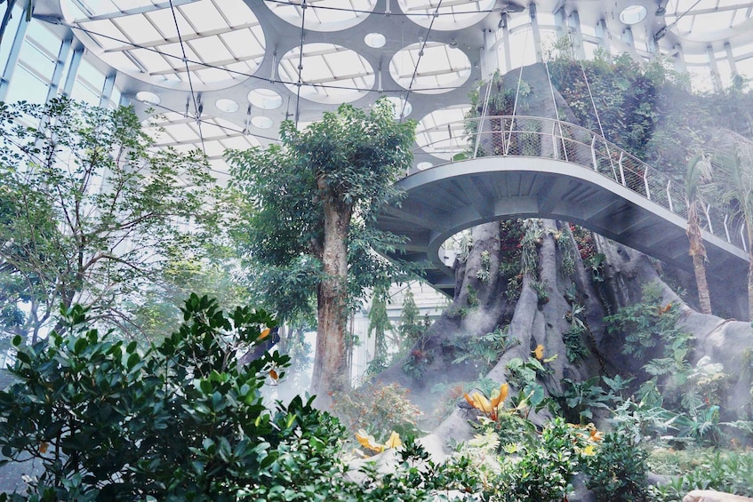 A modern architectural structure with a glass ceiling, surrounded by lush greenery and a hanging bridge. 1